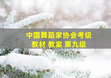 中国舞蹈家协会考级教材 教案 第九级